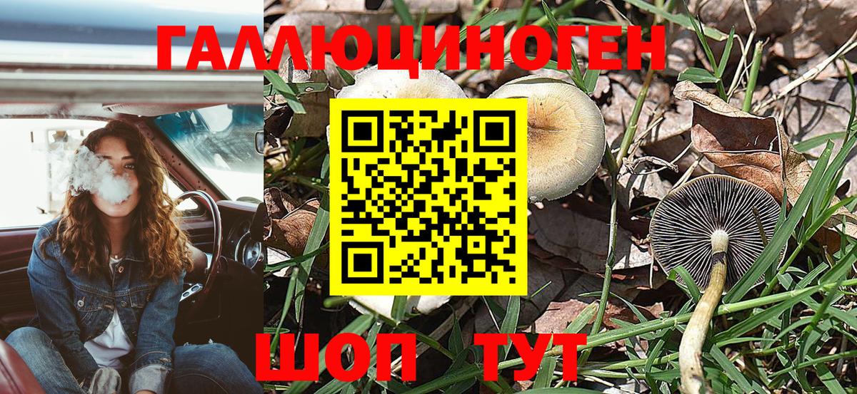Псилоцибиновые грибы Cubensis Северобайкальск